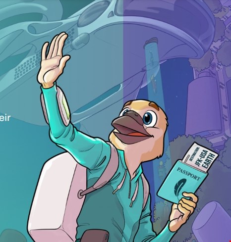 Nomad Insurance by Safety Wing image on Nomad Stays